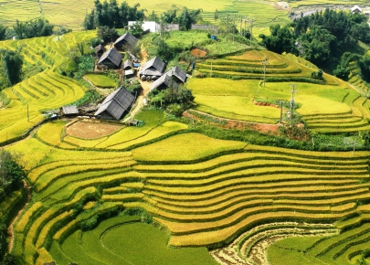  HA NOI - NINH  BINH  -  HA  LONG  -  TAM DAO - SAPA  8 DAYS  7  NIGHTS  TOUR PACKAGE