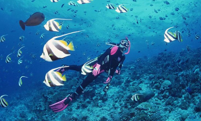 HO CHI MINH - NHA TRANG - DA LAT 5 DAYS 4 NIGHTS  TOUR PACKAGE